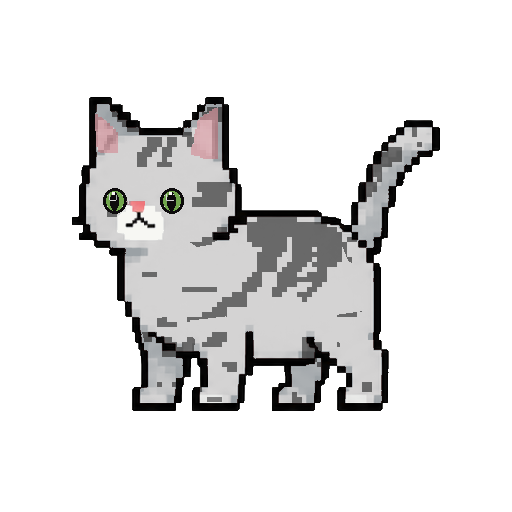 英国短毛猫